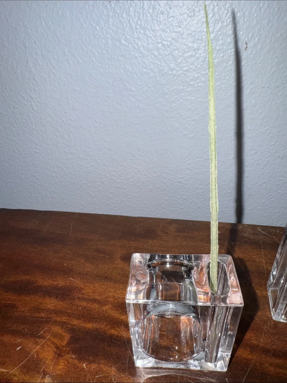 Vintage clear lightweight